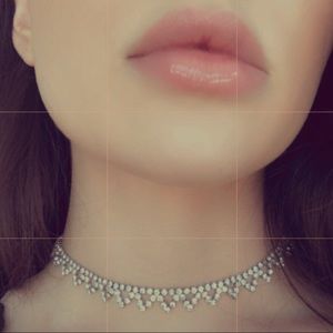 Choker necklace